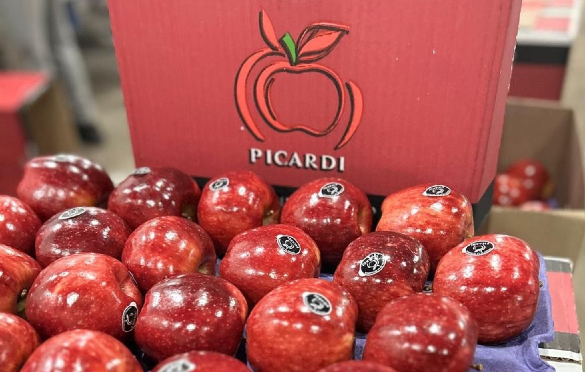 Frutas Picardi
