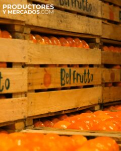 bel frutos cajones de naranjas en productoresymercados mercado central