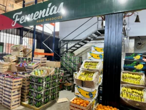 femenias agronegocios puesto mercado tucuman