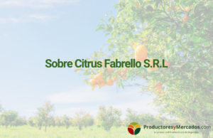 sobre-citrus-fabrello-srl