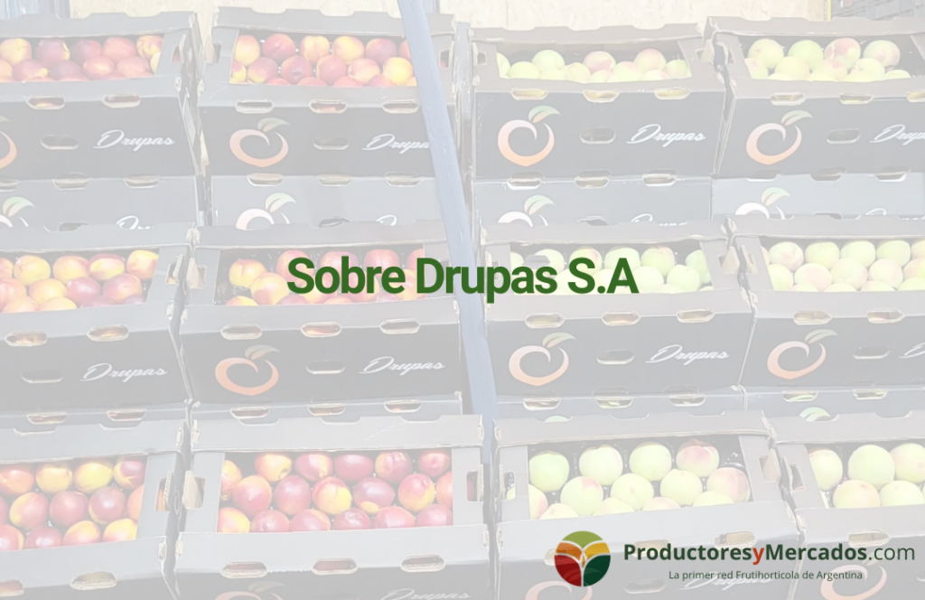 drupas sa blog