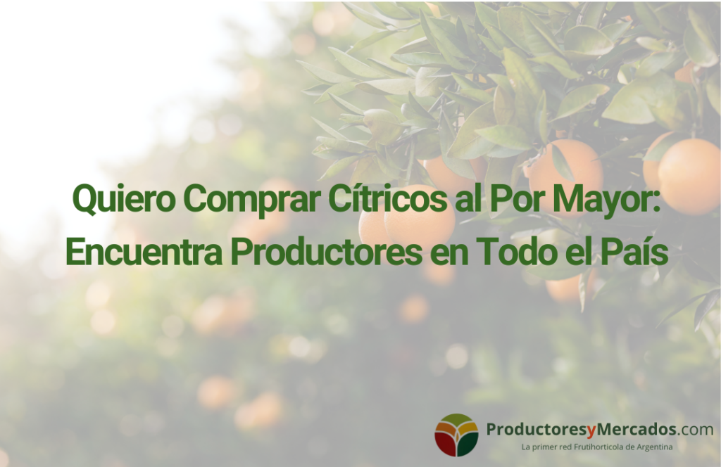 Quiero Comprar Cítricos al Por Mayor: Encuentra Productores en Todo el País