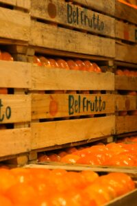bel fruttos alimentos productores y mercados