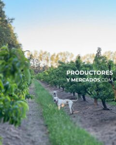 campo nando productores mercados