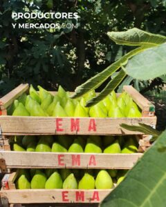 productos nando mario giroldi higos ema productores y mercados