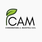 Consignataria de Papas A. Mazzitelli