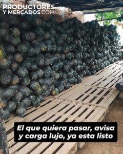 zapallos mercado valdez jairo productoresymercados