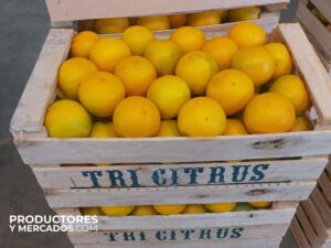 cajon de limones empaques calidad pallets productoresymercados tricitrus