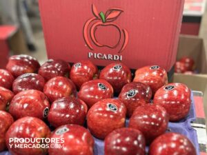 Frutas Picardi