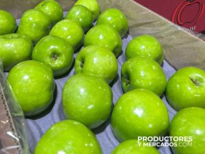 Frutas Picardi