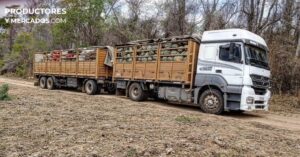 transporte valdez zapallos calabazas camion calidad