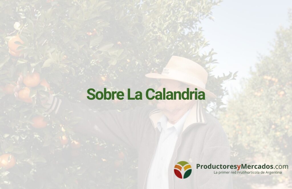 sobre la calandria nota de blog para el mercado productoresymercados.com