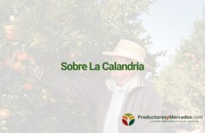 sobre la calandria nota de blog para el mercado productoresymercados.com