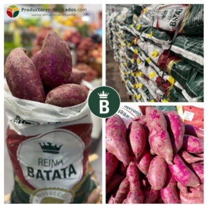 batatas puesto chacra productores y mercados