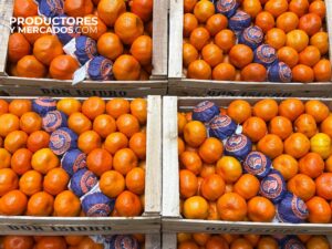 Citricos