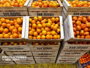 Mercado Citricos