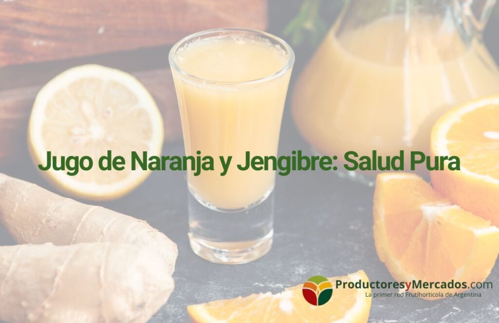 Jugo de Naranja y Jengibre: Salud Pura