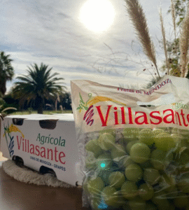 Villasanti productos agrícolas. Bodega, empaque de frutas y frigorífico. productores y mercados