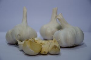 Nuevo Sol SLR en productores y mercados empaque de ajo agroexportador