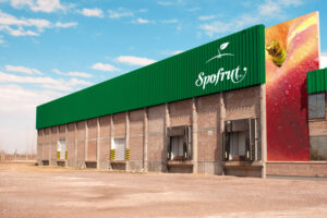 Spotfrut de Mendoza argentina mercados productores y mercados galpon