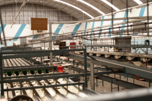 Spotfrut de Mendoza argentina mercados productores y mercados galpon