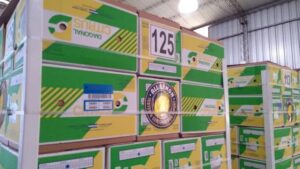 Bines empaques de Diagonal Citrus Mercados