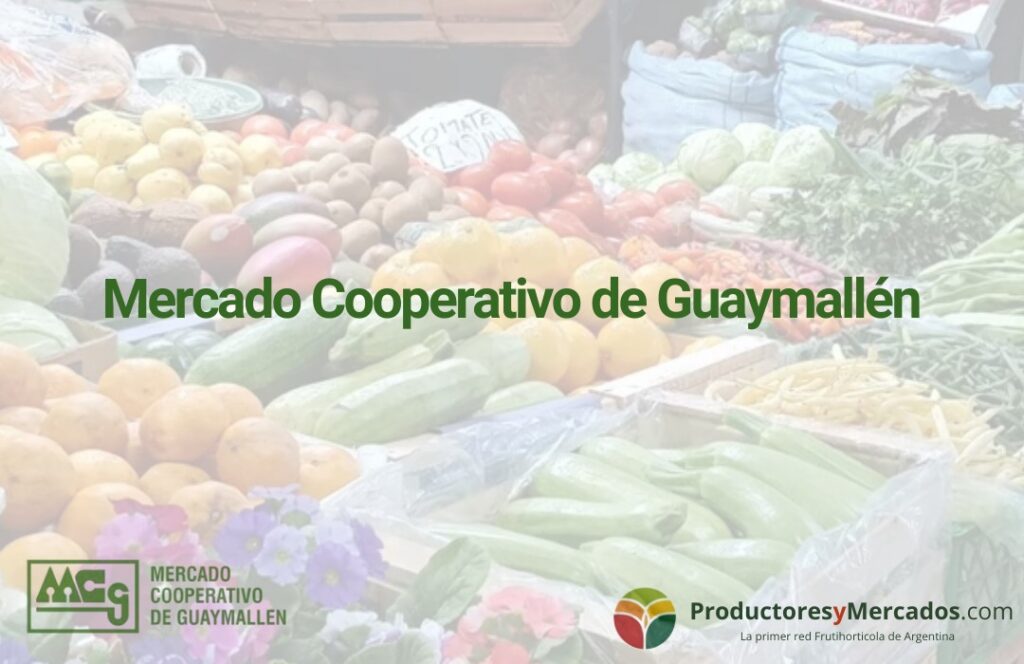 Mercado de Guaymallen
