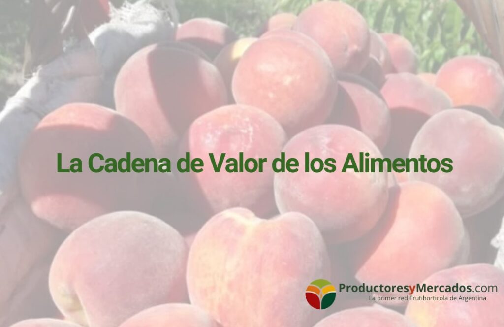 Cadena de Valor de Alimentos