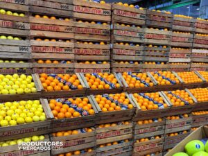 Villa Del Mar- Cítricos