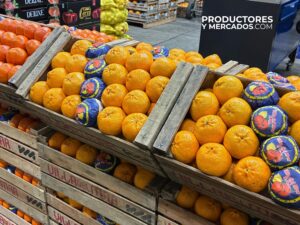 naranja ombligo y mandarinas mercado central villa del mar